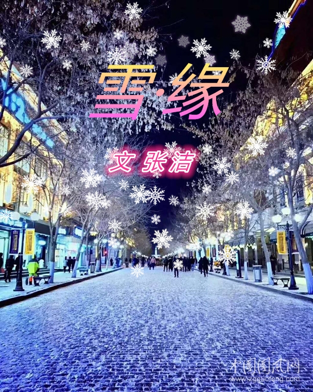  雪·缘（文：张洁）