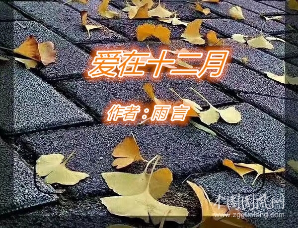  爱在十二月（作者：雨言）