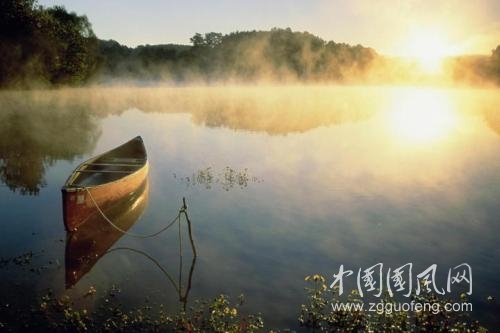 生命的风景