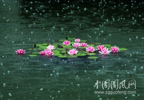 淮北听雨 