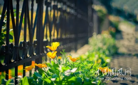 这 样 的 季 节（散文诗）