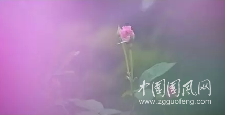 QQ截图20180719160149.png