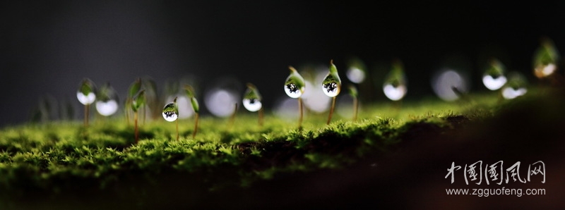 待见的雨季