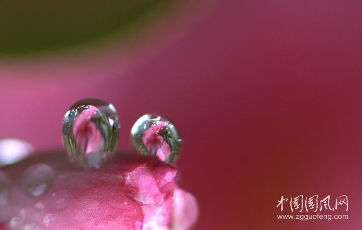 雨花的快乐