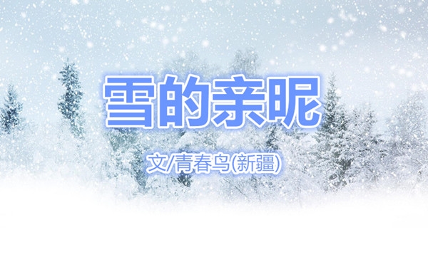  雪的亲昵（文/青春鸟）