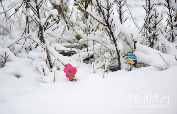 爱情如雪（文  吉日莲花）