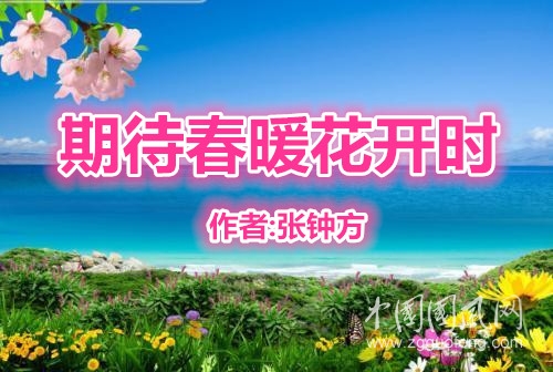  期待春暖花开时  （作者:张钟方）