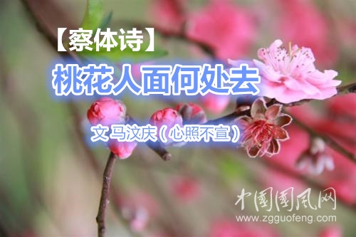  【察体诗】桃花人面何处去（文 马汶庆）