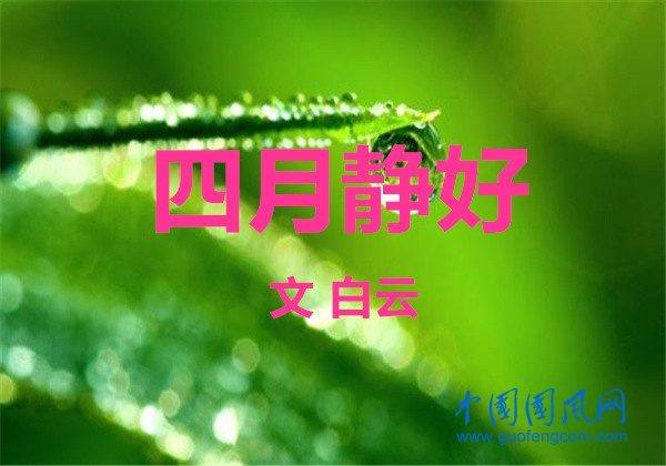  四月静好（文  白云）