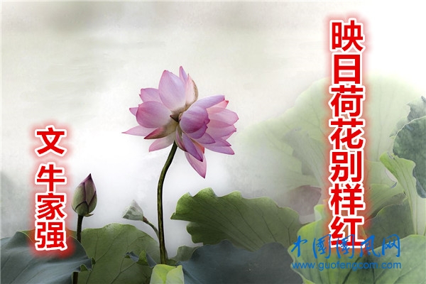 6_副本.jpg