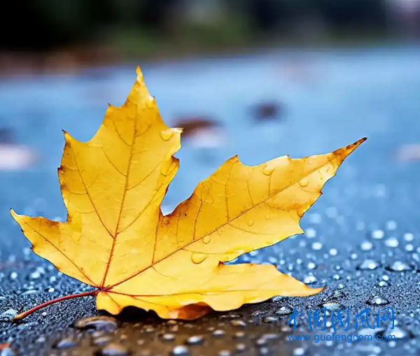 u=2086430437,3670995369&fm=253&fmt=auto&app=138&f=JPEG.webp.png