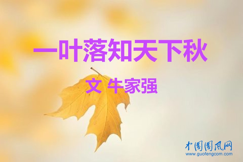 8dff3661bf225fce4ac76b8cdd7c36_副本.jpg