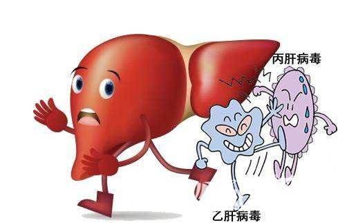七月劳累易肝病，常吃此物，保肝护肝，清凉美白