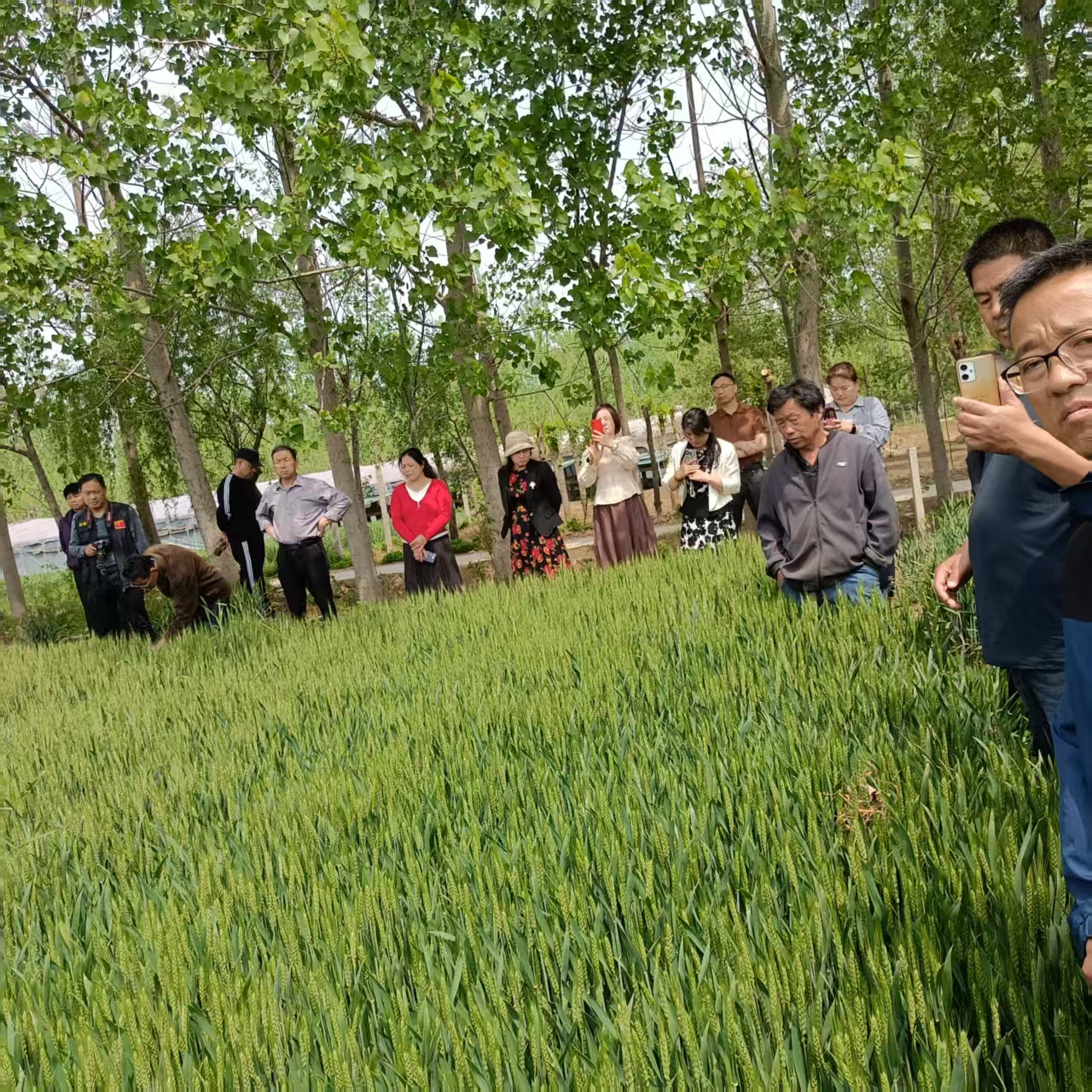 微信图片_20250507121101.jpg