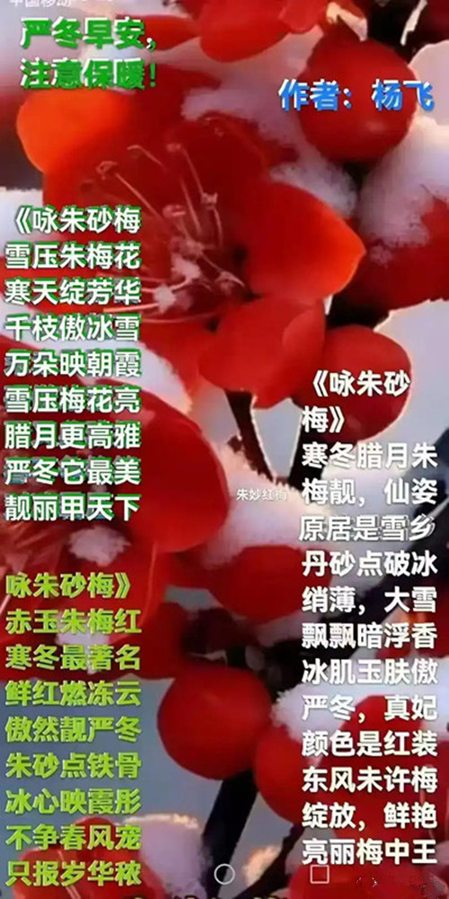 2.webp_副本_副本.jpg