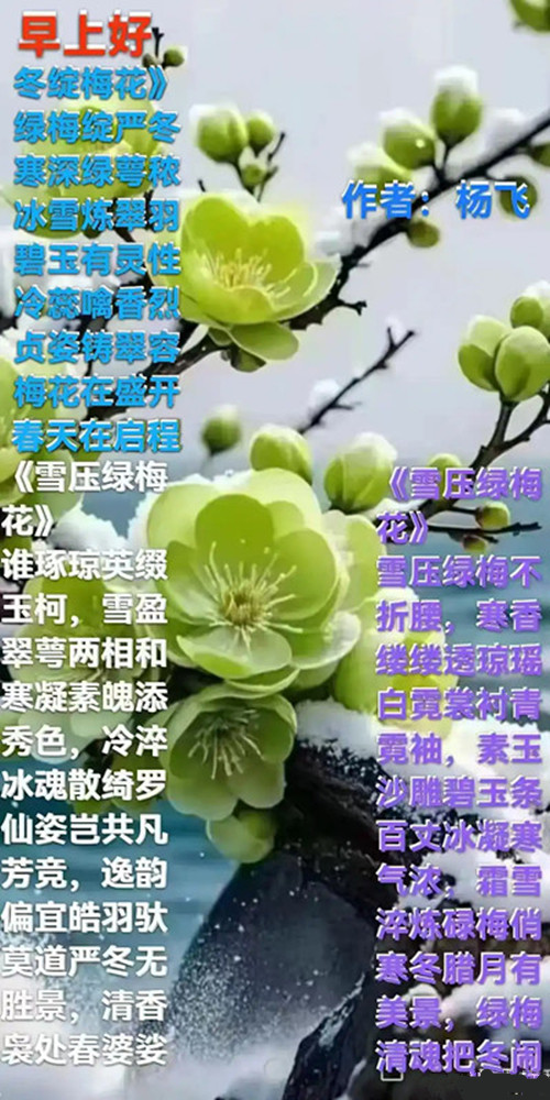 3.webp_副本_副本.jpg