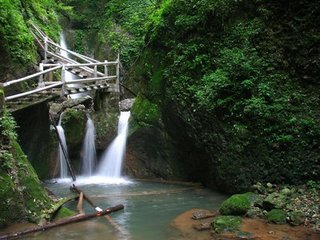 问道青城山，拜水都江堰！功夫熊猫在哪里？