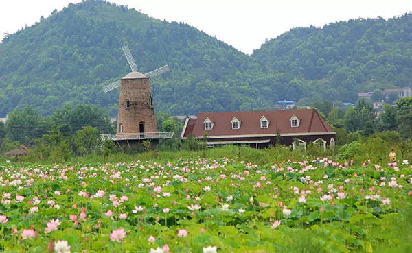 萍乡双月湾湿地公园