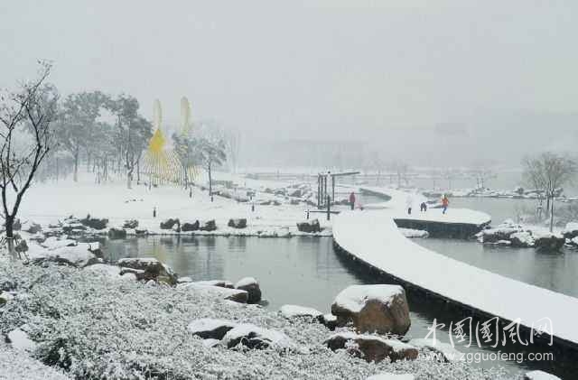 冬日里最美的事，不过是苏州下了一场雪