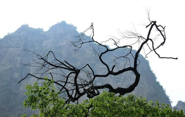 和太行大峡谷同属一个大景区，没有门票，几十元管吃住，景美如画