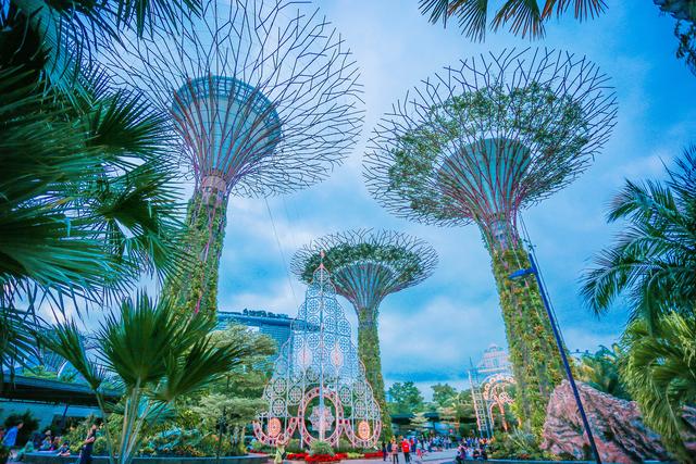 被誉为“世界级花园城市”——新加坡