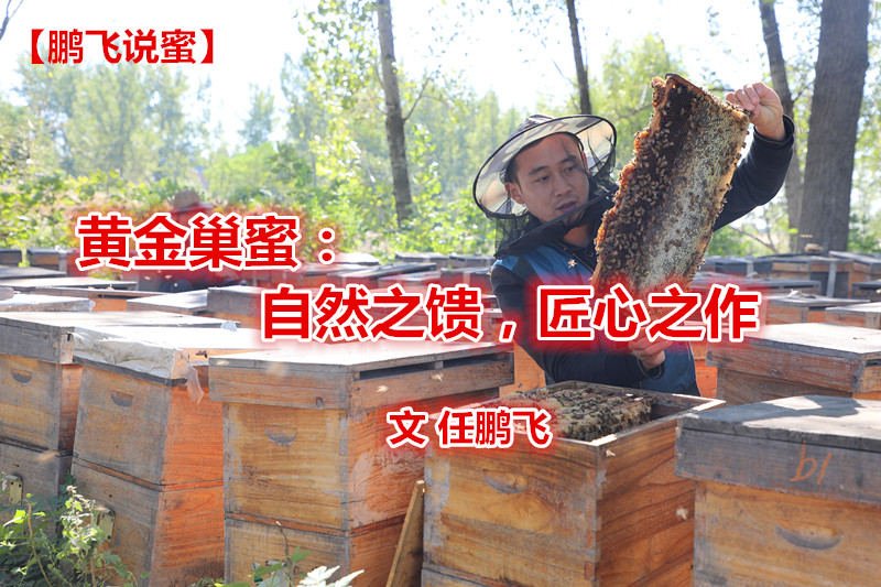 d97169d84a0bc5d9a60dc22339748b3_副本.jpg