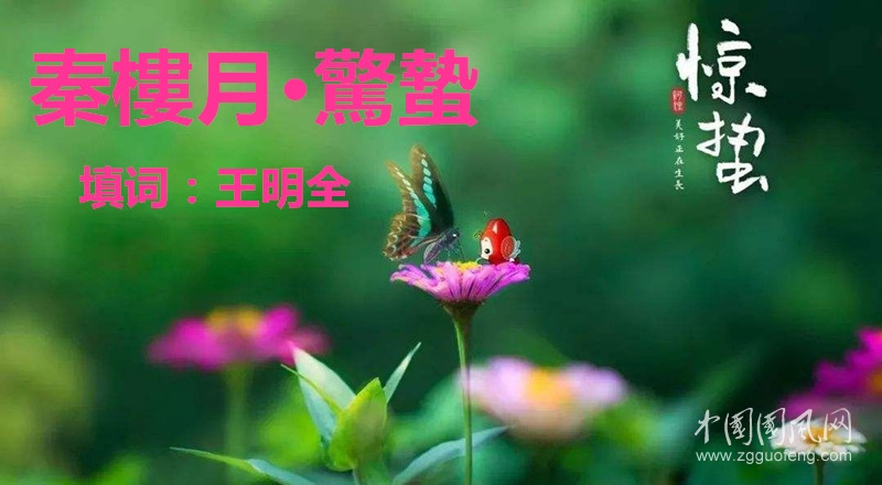 timg_副本.jpg