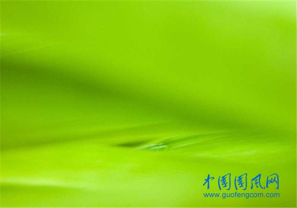 u=1083031990,1147503043&fm=26&gp=0.jpg