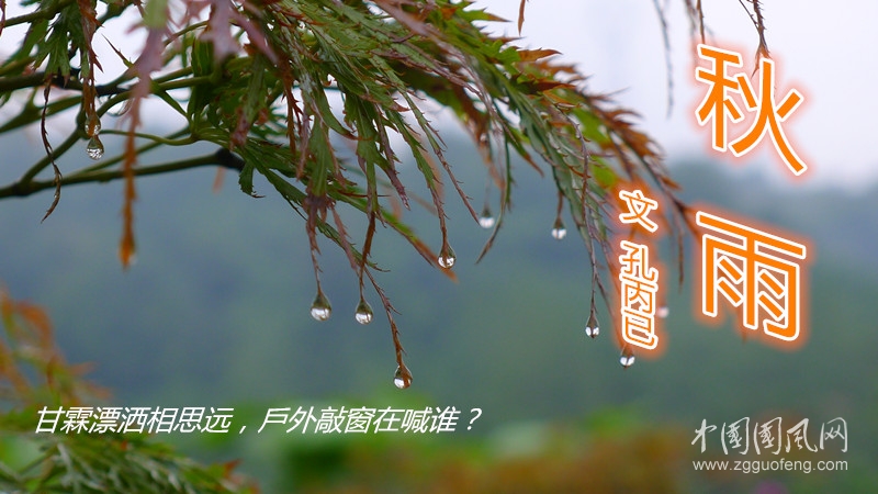 秋雨.jpg