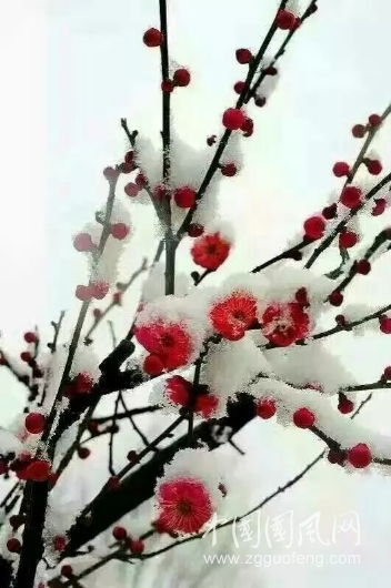 微信图片_20181222093907.jpg