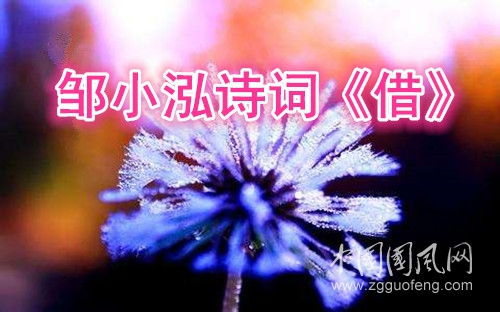 timg (3)_副本.jpg