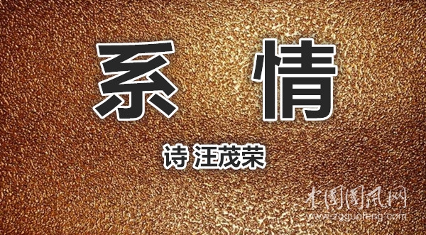 timg (2)_副本.jpg
