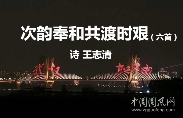 timg (3)_副本.jpg
