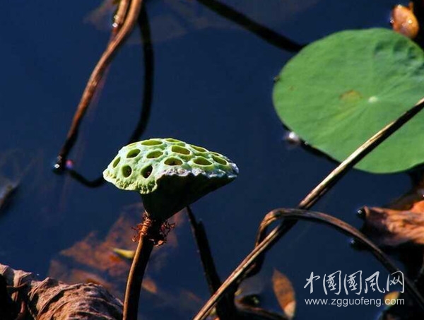QQ图片20200912132450_副本.jpg