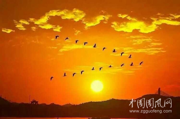 QQ图片20200912132443_副本.jpg