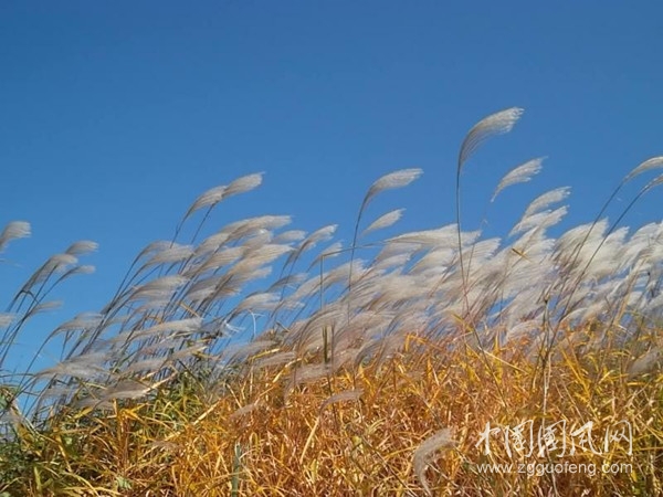 QQ图片20200912132457_副本.jpg