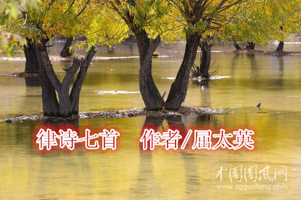 微信图片_20200916153603_副本.jpg