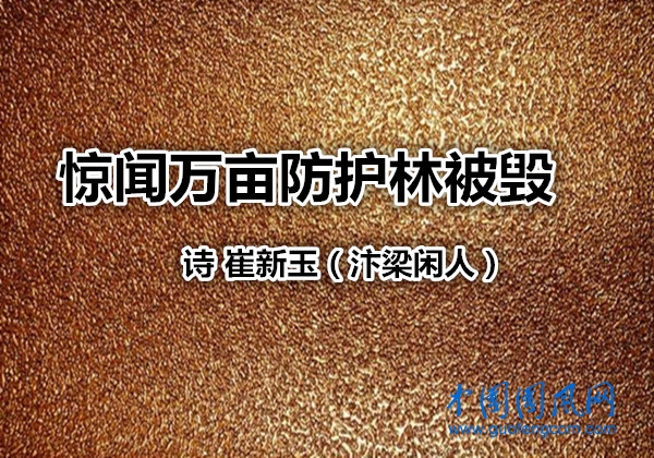 timg (2)_副本.jpg