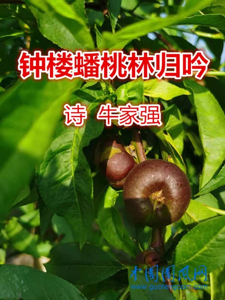 5d919f5811e5777c56fad1647f2beb8.jpg