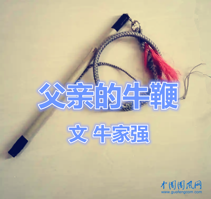 src=http___cbu01.alicdn.com_img_ibank_2020_870_461_20100164078_1800849266.jpg&refer=http___cbu01.alicdn.webp.png
