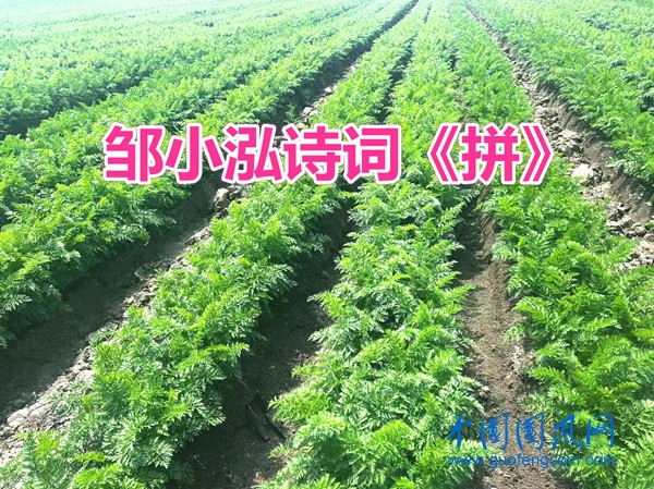 be9374a245a207c4d179956f6dd8d1f9_副本.jpg