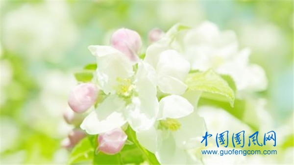 u=1882033474,2871194713&fm=26&gp=0.jpg