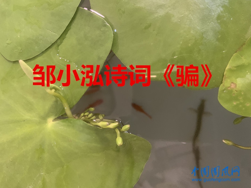 084f0b3ef2ba348dc4648e9cd8ec2eb_副本.jpg