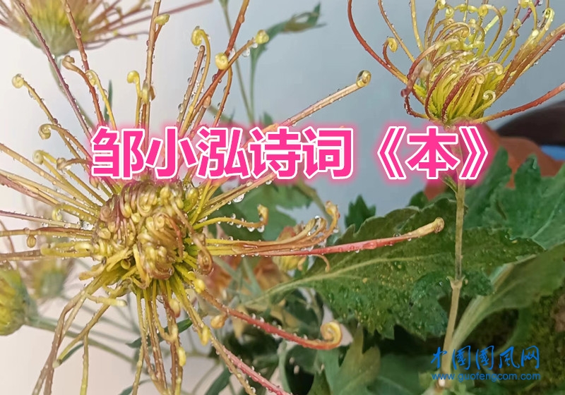 6c9c184c794ddf2df1625c35ff9194ac_副本.jpg
