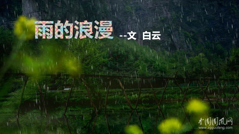 雨的浪漫（文  白云）