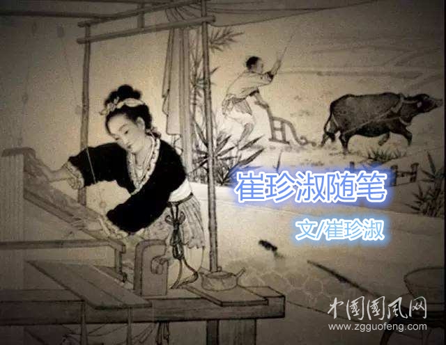 崔珍淑随笔（文/崔珍淑）