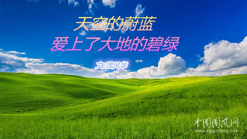  天空的蔚蓝  爱上了大地的碧绿（文/茂风华）