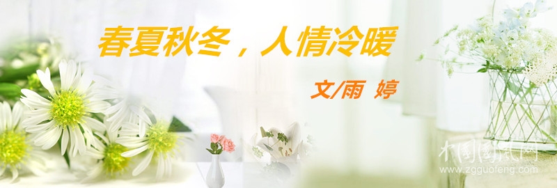  春夏秋冬，人情冷暖（文/雨婷）