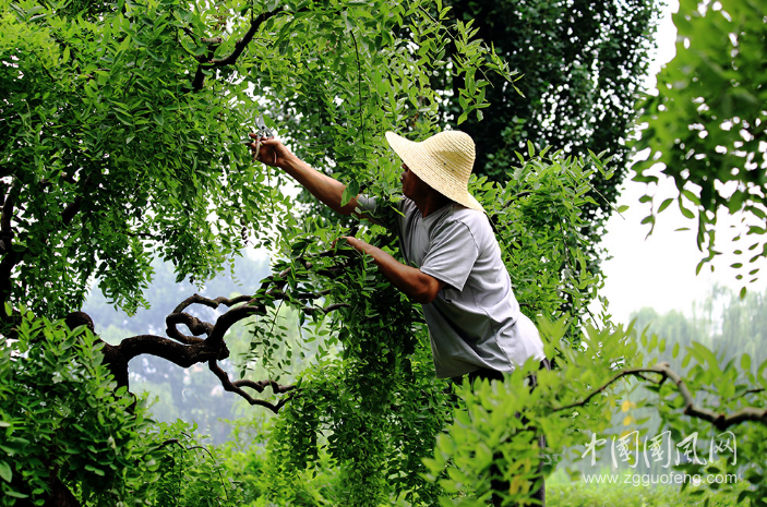 塞丁现代体诗歌集《曾经的那一朵茉莉》连载之（10）