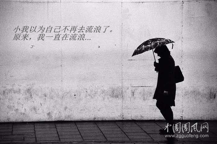 868706204887713385_副本.jpg